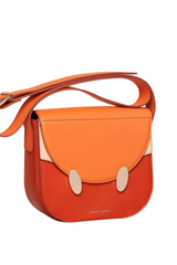 Cross Body colourful leather bag